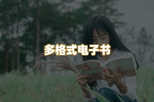 多格式电子书